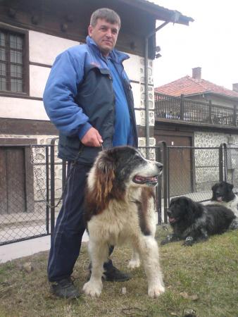 Прикачена снимка