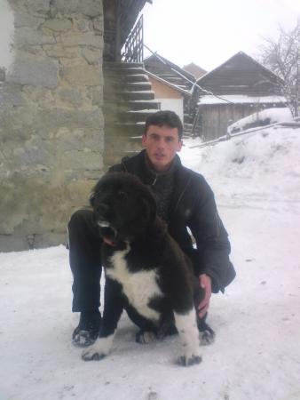 Прикачена снимка