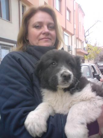 Прикачена снимка