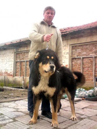 Прикачена снимка