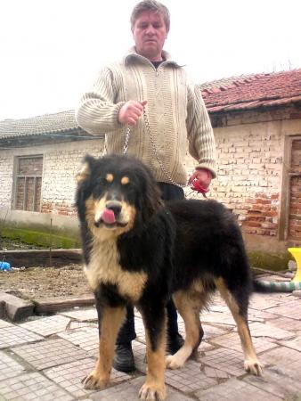 Прикачена снимка