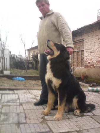 Прикачена снимка