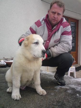Прикачена снимка