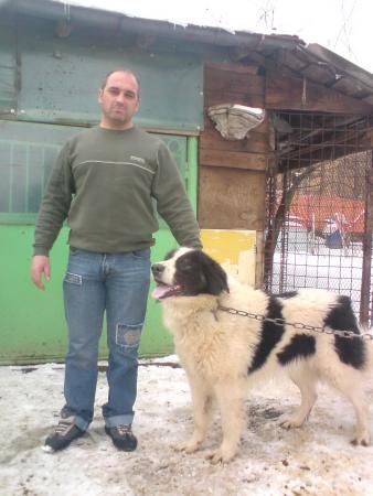 Прикачена снимка