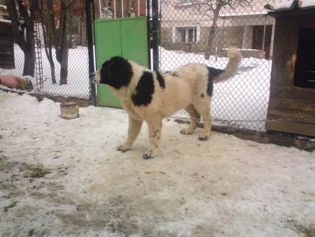 Прикачена снимка
