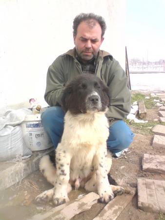 Прикачена снимка