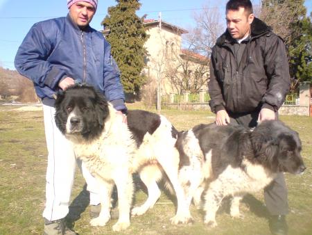 Прикачена снимка