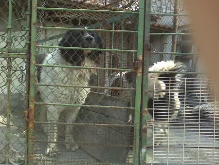 Прикачена снимка
