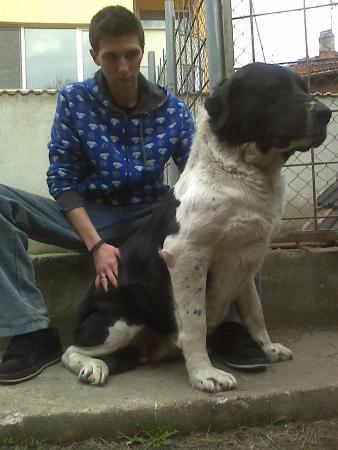 Прикачена снимка