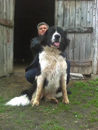 Прикачена снимка