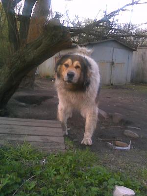 Прикачена снимка
