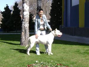 Прикачена снимка