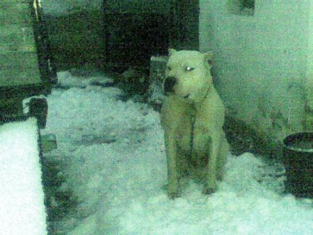 Прикачена снимка