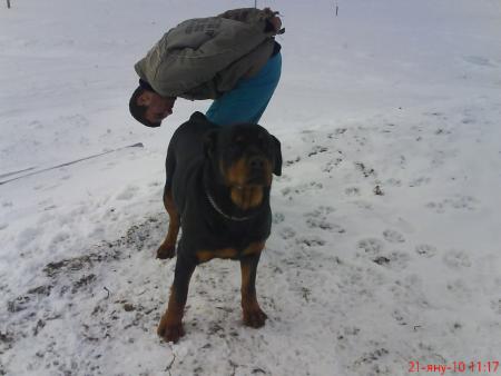 Прикачена снимка