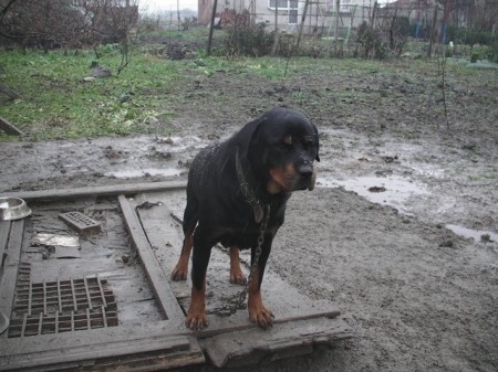 Прикачена снимка