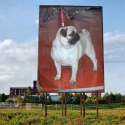 Прикачена снимка
