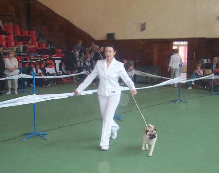 Прикачена снимка
