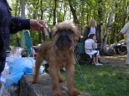 Прикачена снимка