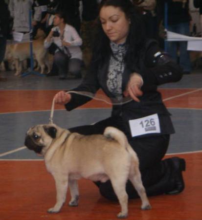 Прикачена снимка