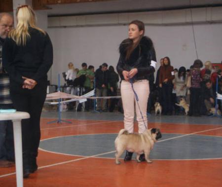 Прикачена снимка