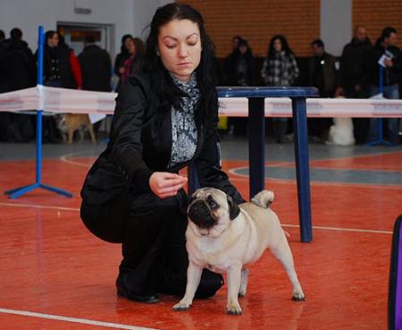 Прикачена снимка