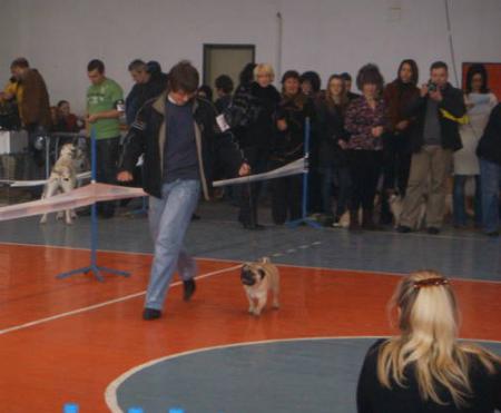 Прикачена снимка