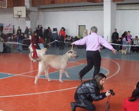 Прикачена снимка