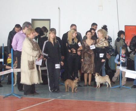 Прикачена снимка