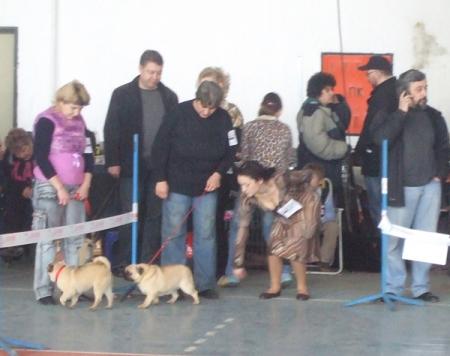Прикачена снимка