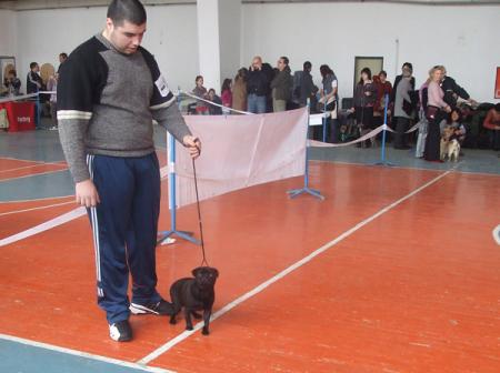 Прикачена снимка