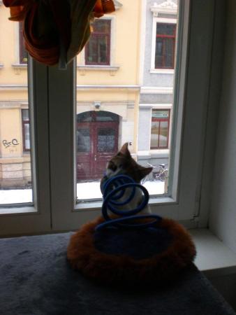 Прикачена снимка