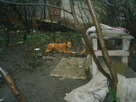 Прикачена снимка