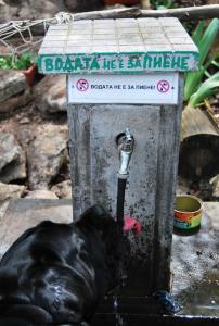Прикачена снимка