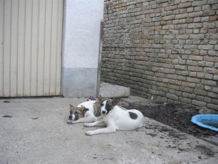 Прикачена снимка