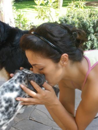 Прикачена снимка