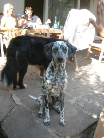 Прикачена снимка