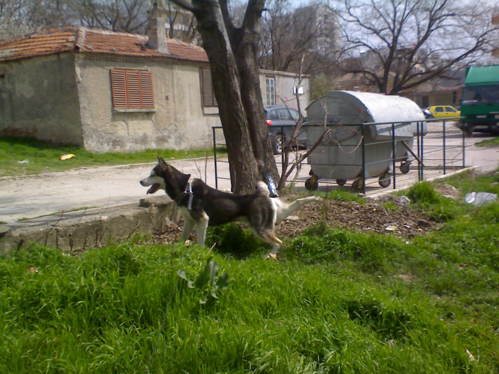Прикачена снимка
