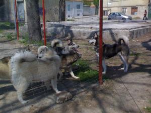 Прикачена снимка