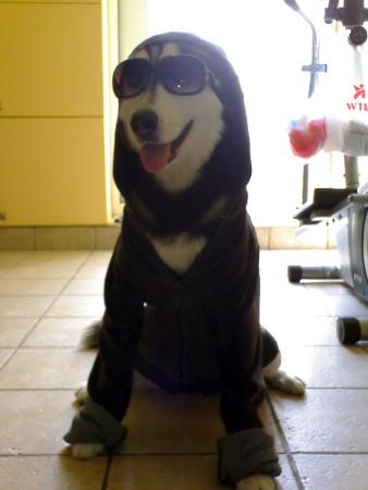 Прикачена снимка