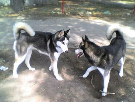 Прикачена снимка