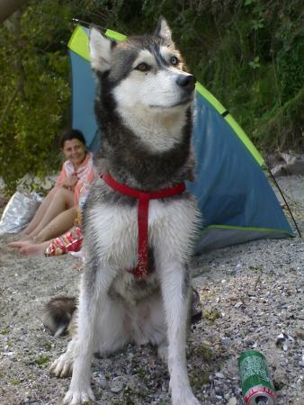 Прикачена снимка