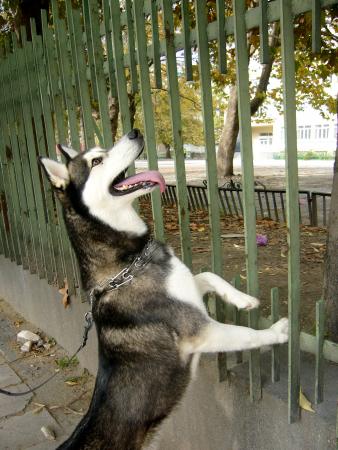 Прикачена снимка