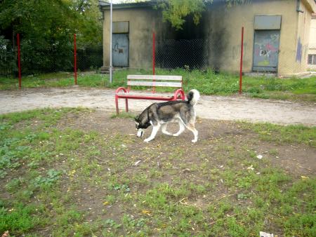 Прикачена снимка