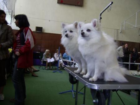 Прикачена снимка