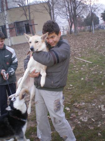 Прикачена снимка