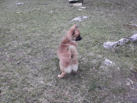 Прикачена снимка