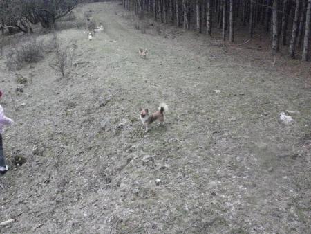 Прикачена снимка