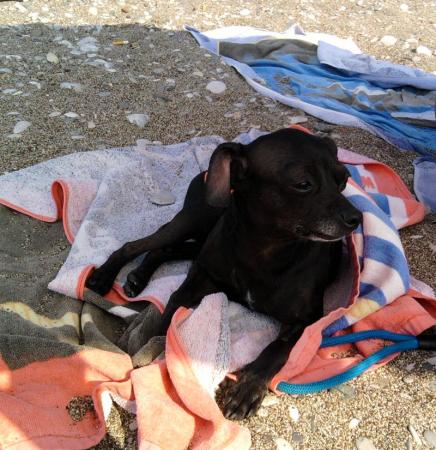 Прикачена снимка