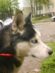 Прикачена снимка