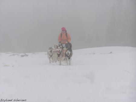 Прикачена снимка